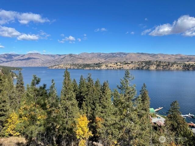 Image 1 Image 1