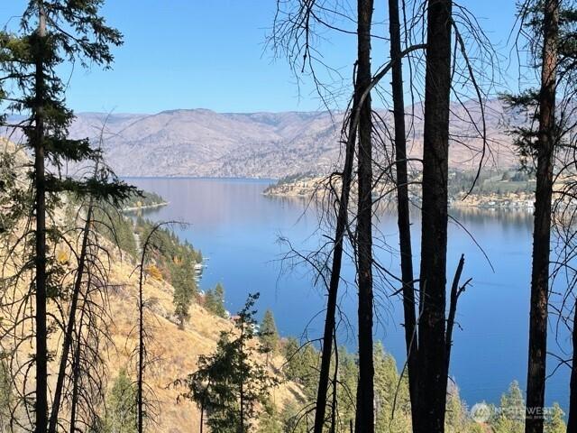 Image 1 Image 1