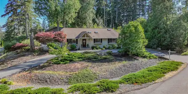351 mountain view