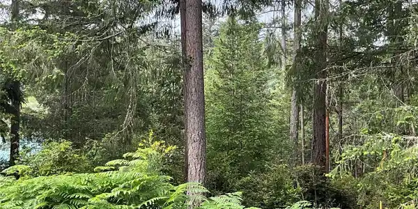 Image 4 Image 4