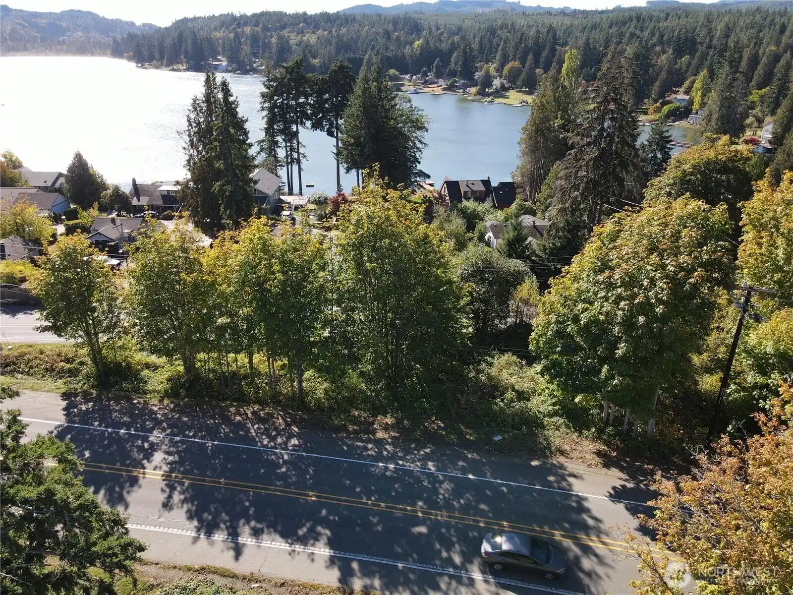 Image 1 Image 1