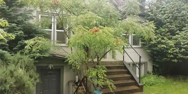 Image 2 Image 2