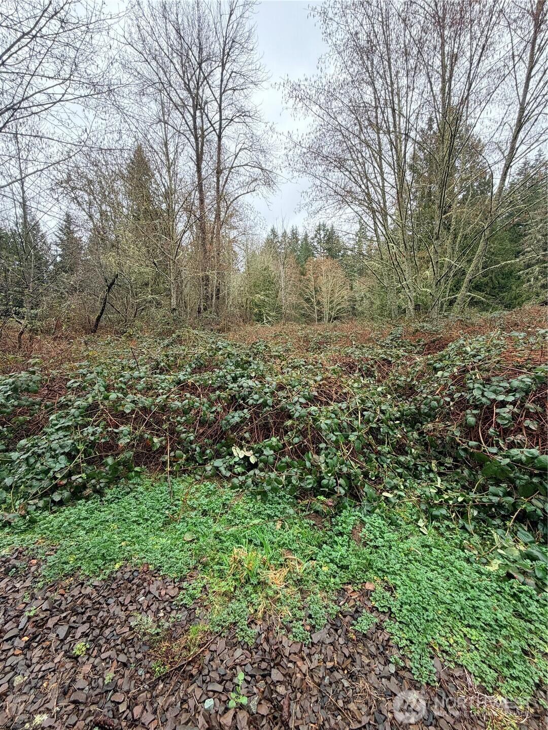 Image 2 Image 2
