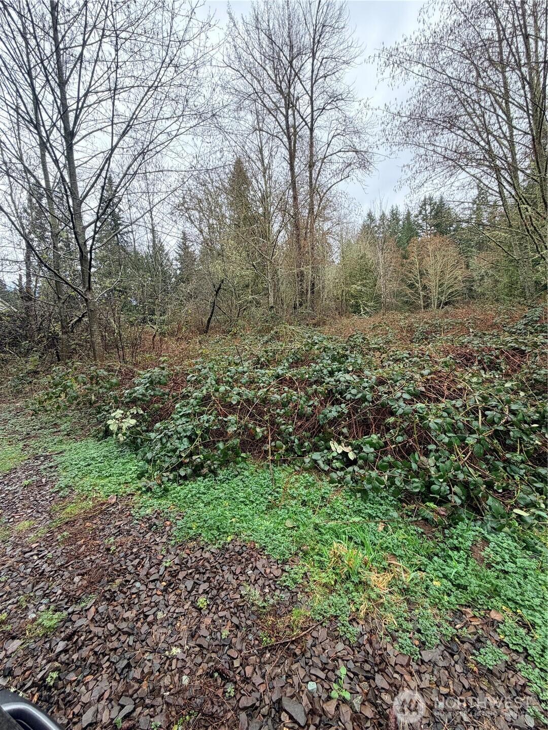 Image 3 Image 3