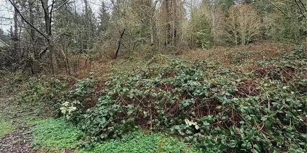 Image 3 Image 3