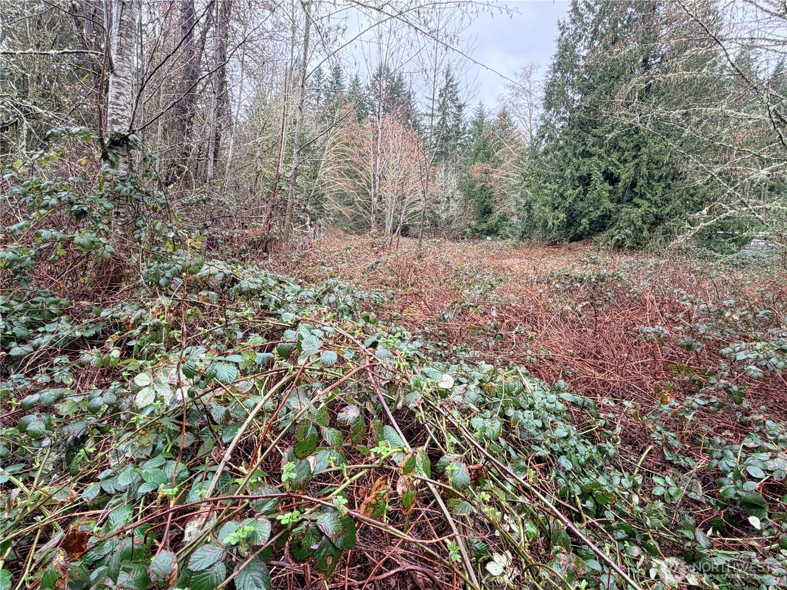 Image 4 Image 4