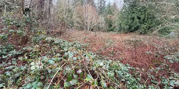 Image 4 Image 4