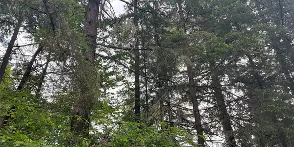 Image 4 Image 4