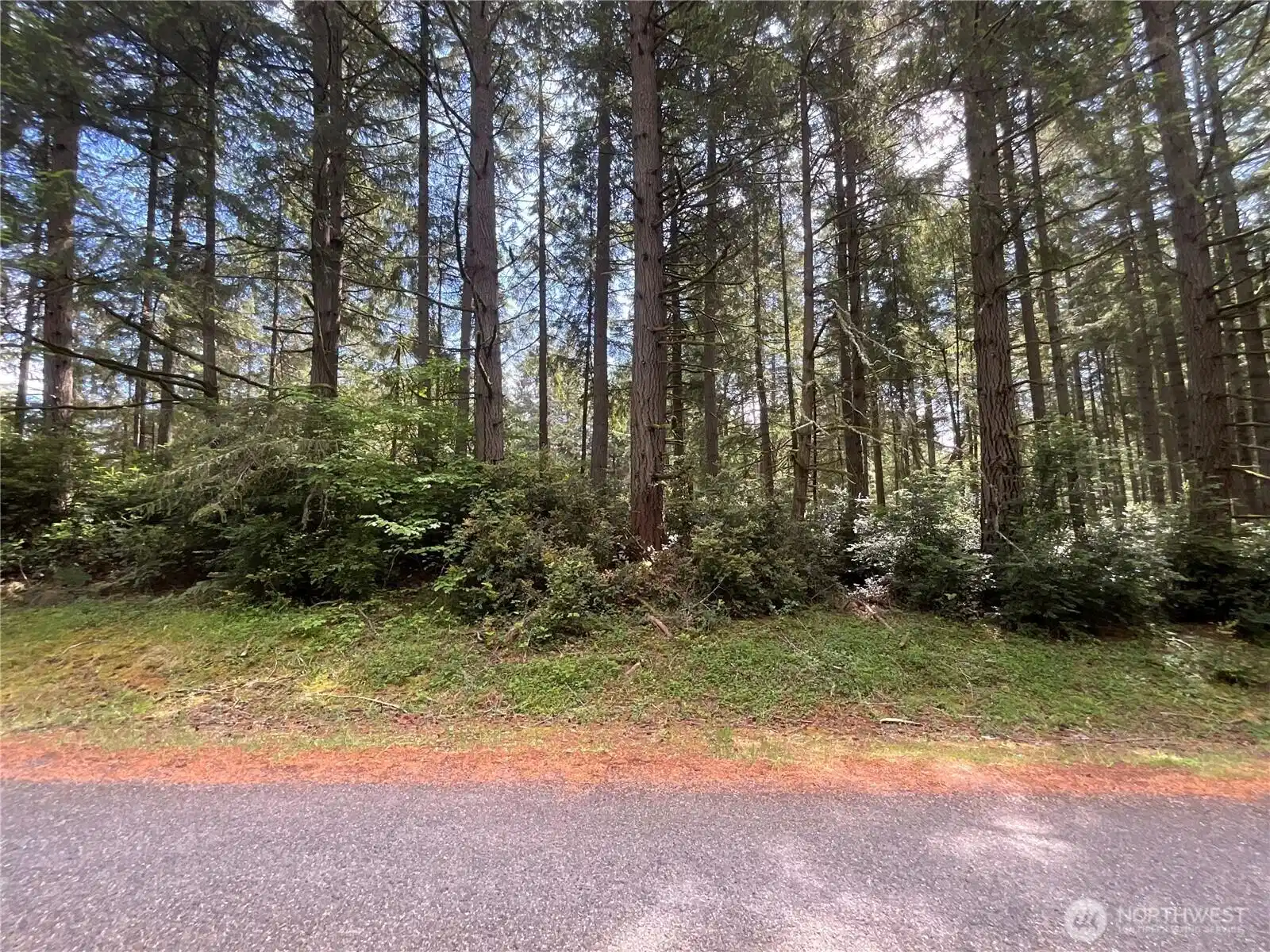 Image 1 Image 1