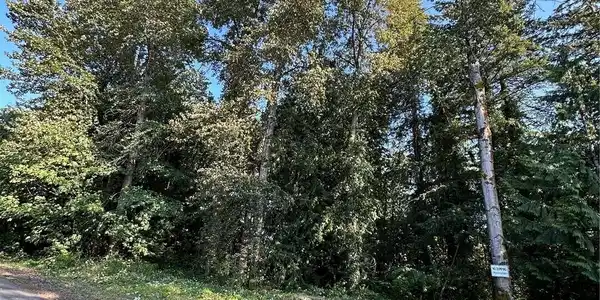 Image 3 Image 3