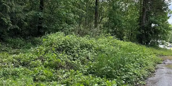 Image 4 Image 4