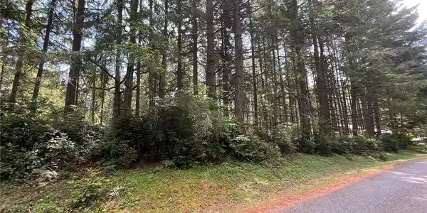 Image 2 Image 2