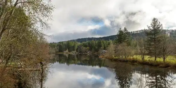 13803 Coho Run