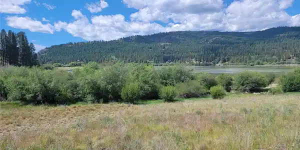 Image 4 Image 4