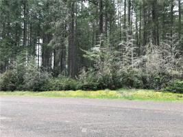 11018 Admiralty Wy, Anderson Island,