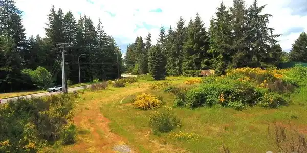 Image 4 Image 4