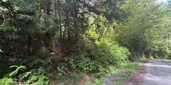 Image 4 Image 4