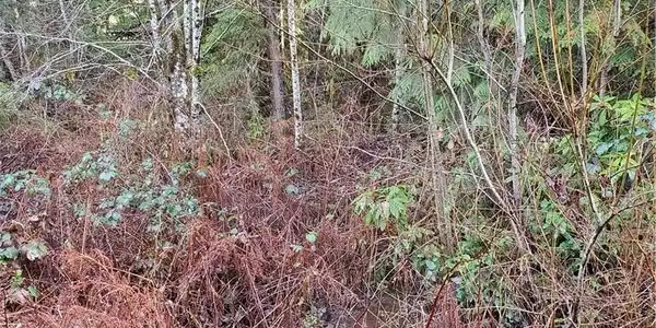 0 NE Lot 290 Tahuya Blacksmith Road