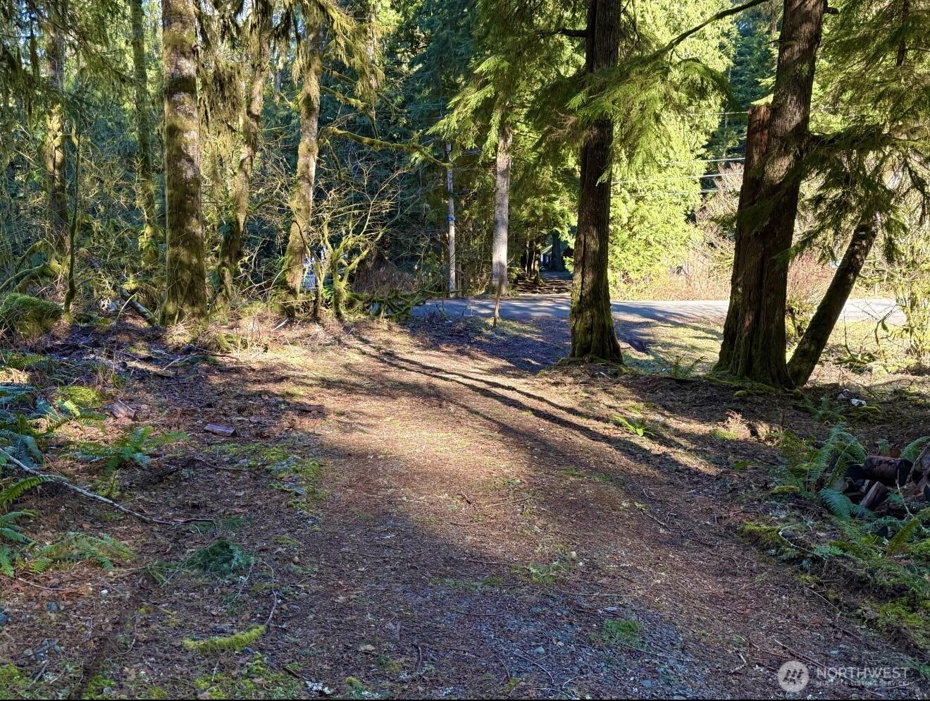 Image 3 Image 3