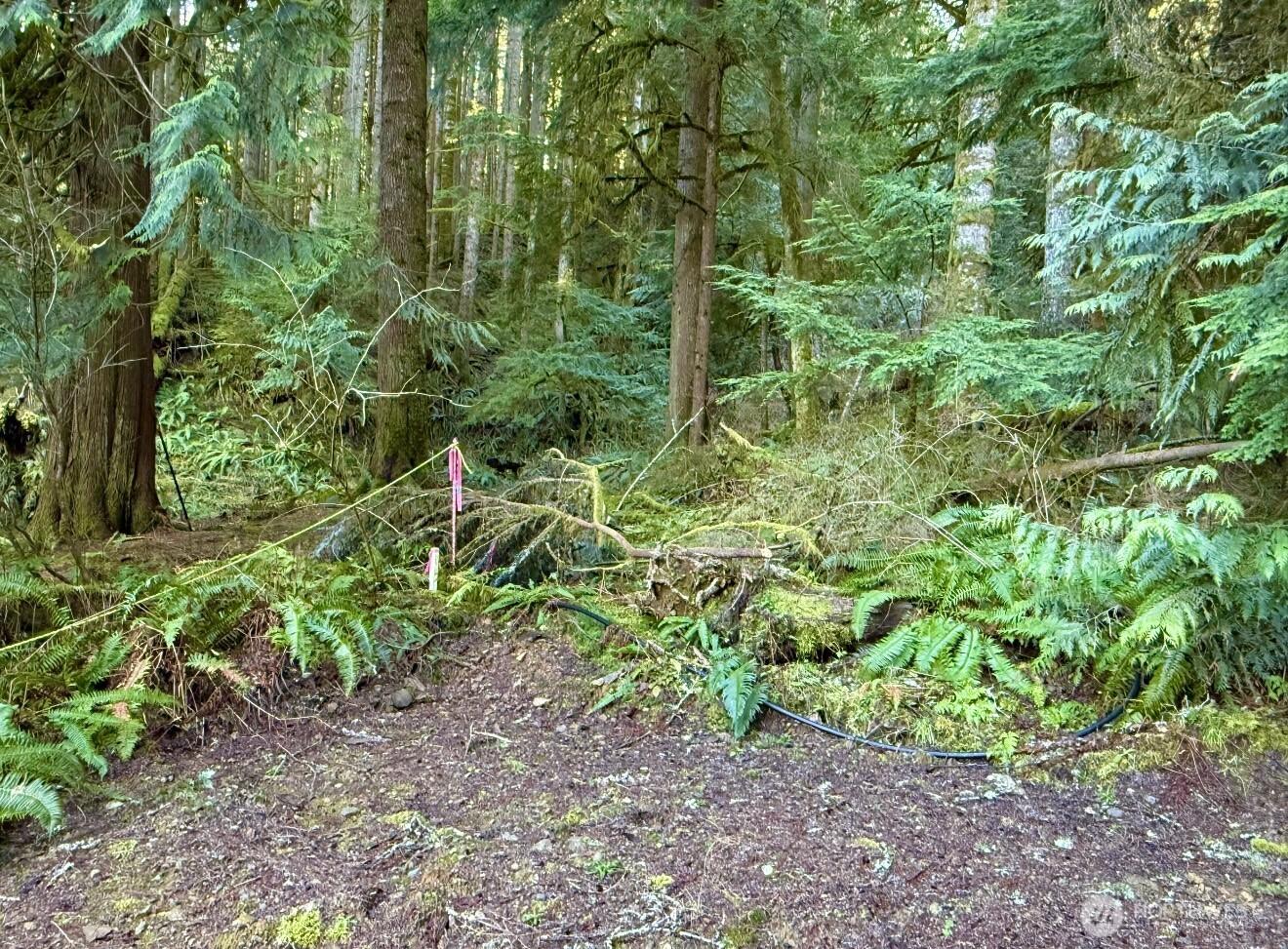 Image 4 Image 4