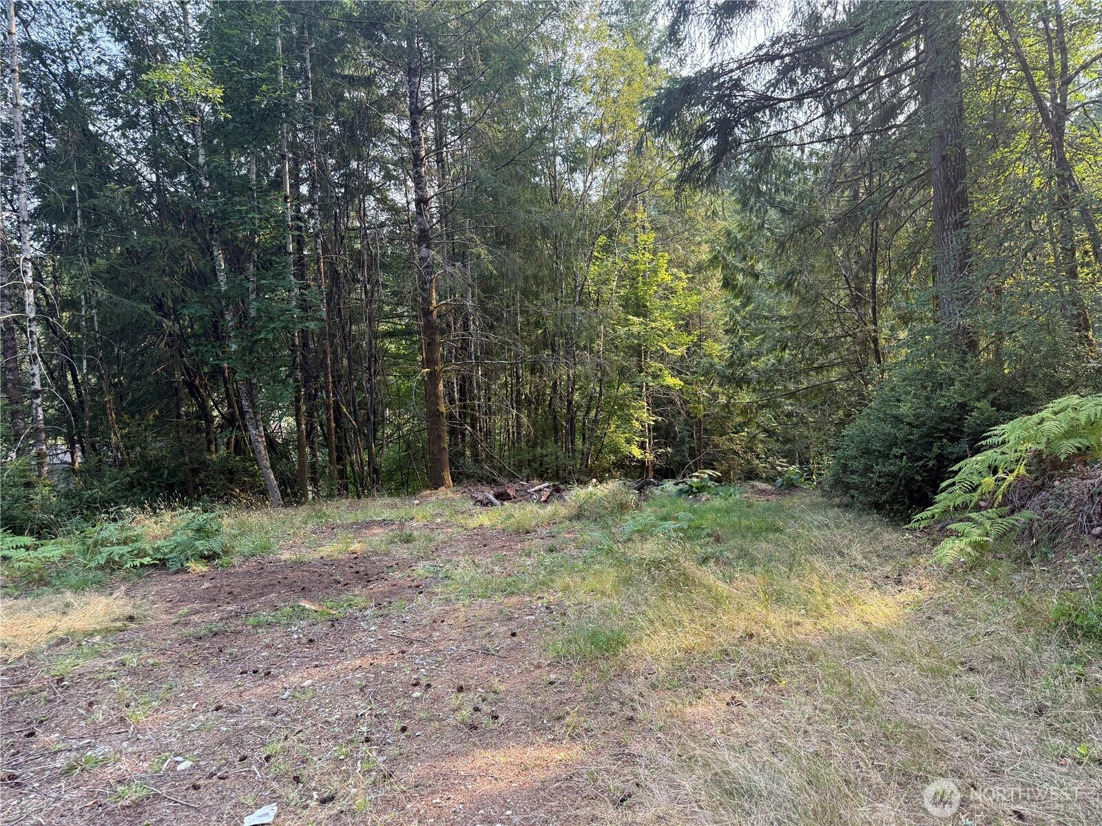 Image 4 Image 4