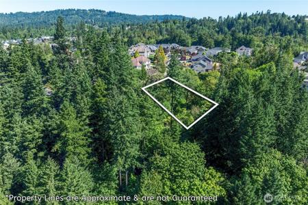 14 Forest Hill Estates