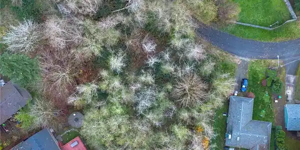 Image 4 Image 4