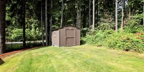 Image 4 Image 4