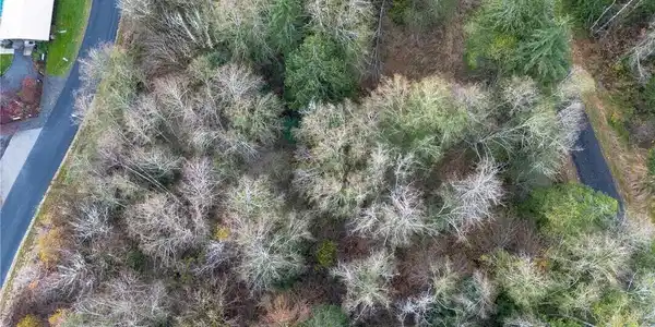 Image 3 Image 3