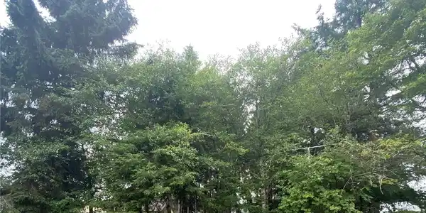 135 Duck Lake NE