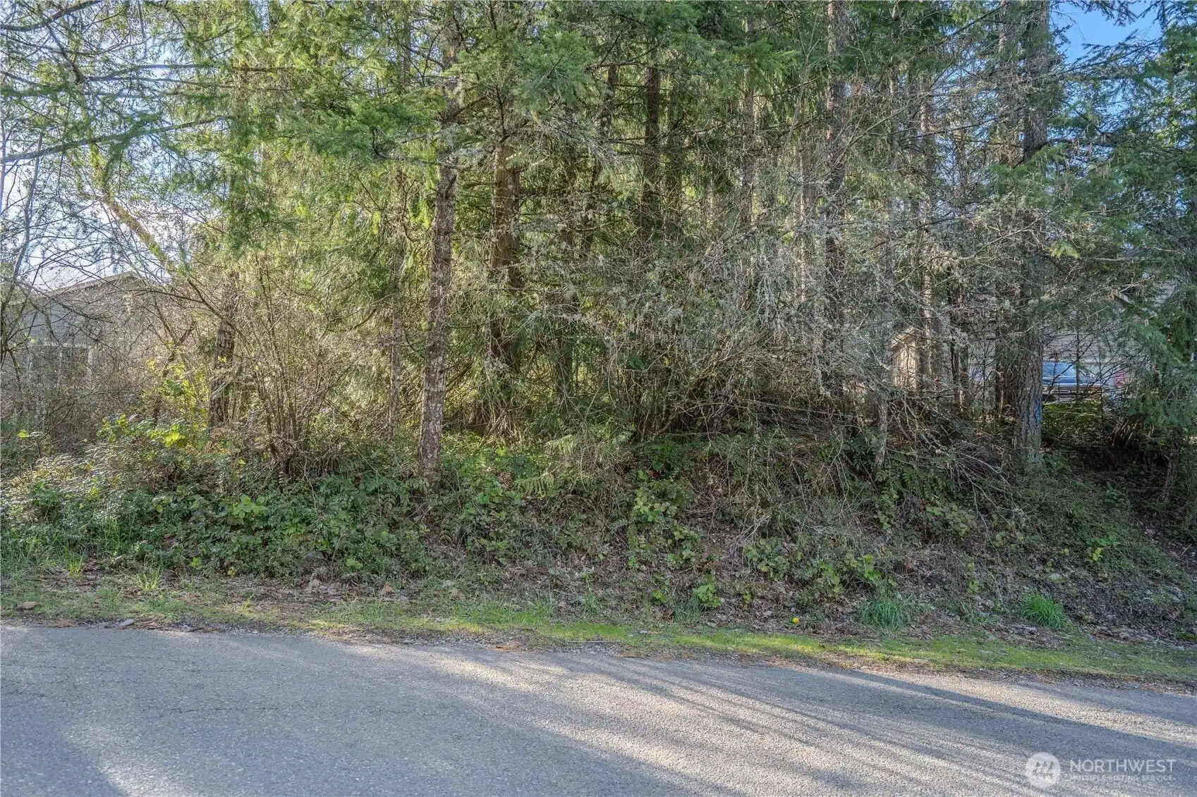 Image 1 Image 1