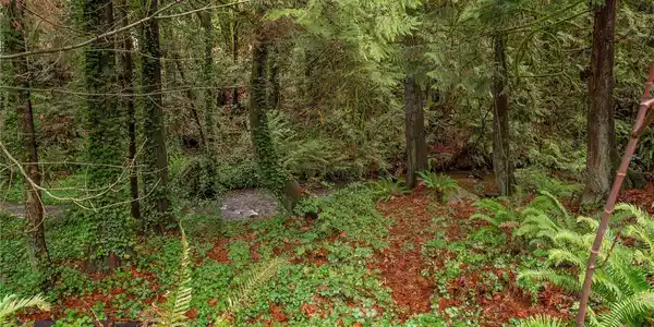 1930 Northlake NW