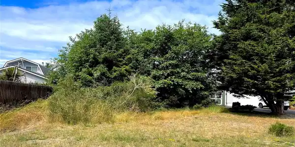 Image 3 Image 3