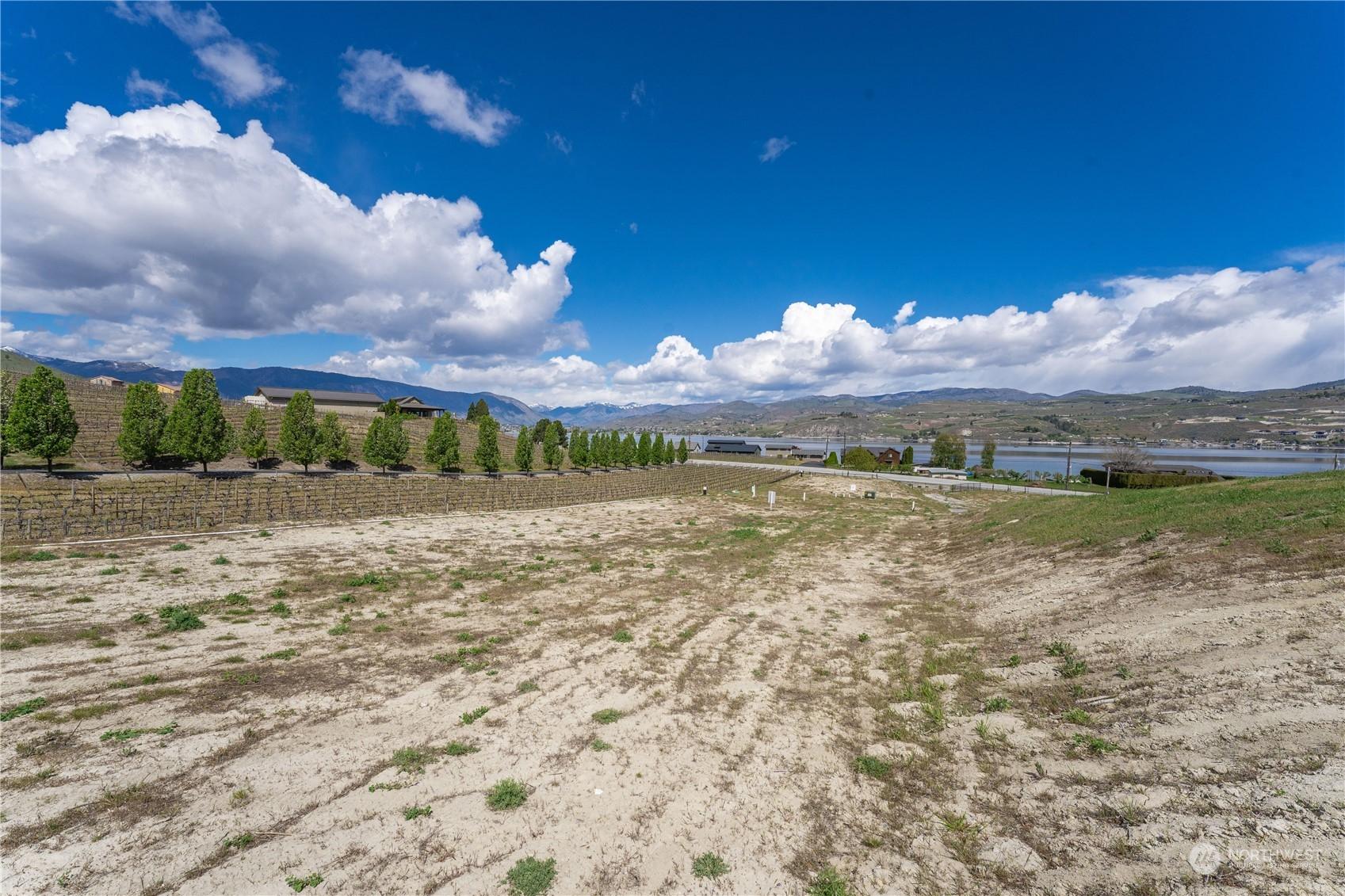 Image 1 Image 1