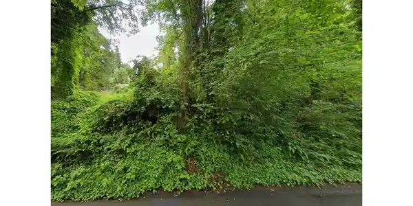 Image 4 Image 4
