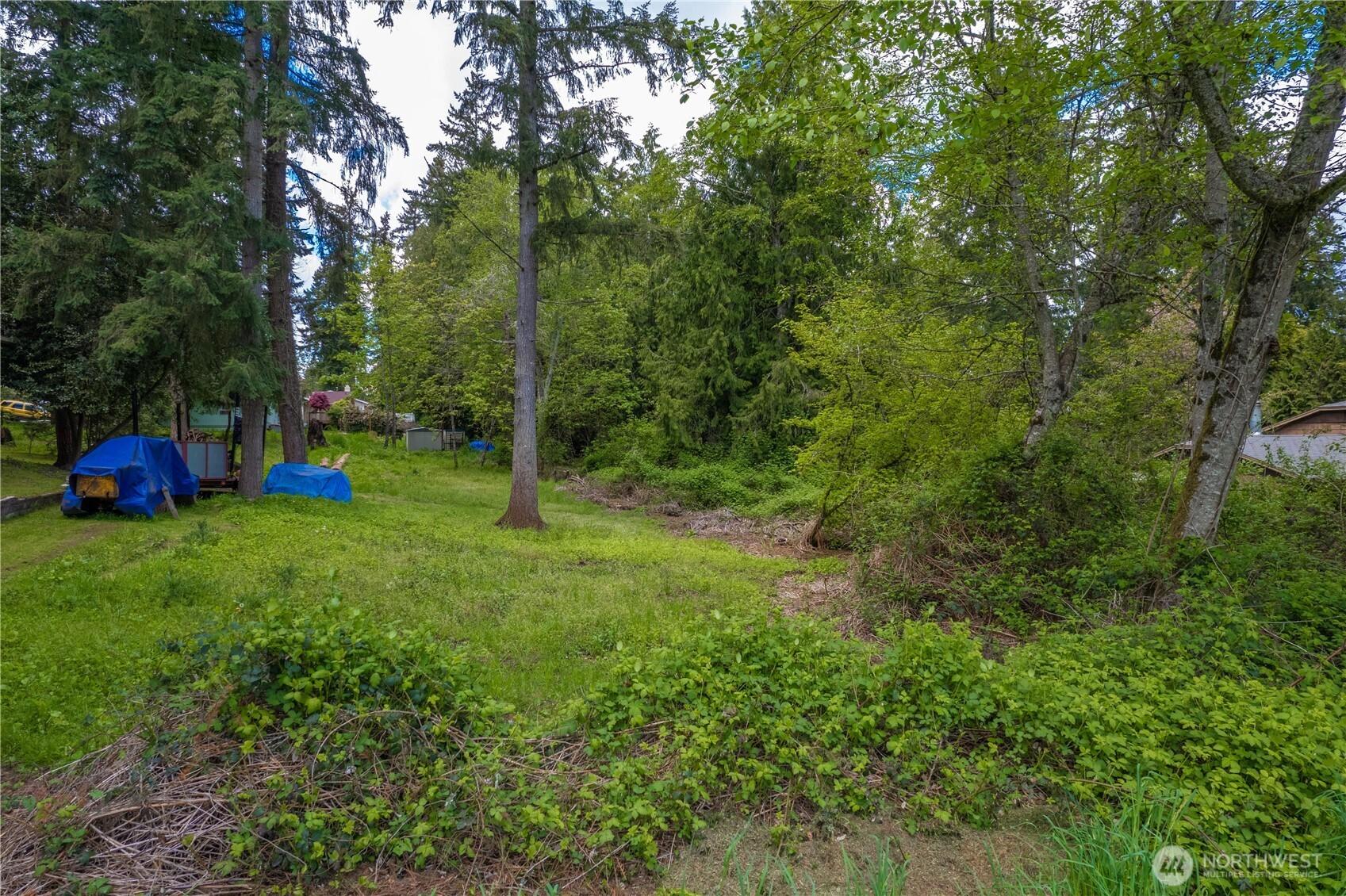 Image 3 Image 3