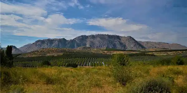 3 Columbia View