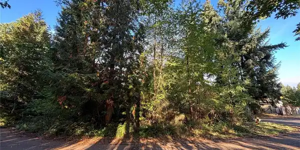 17745 Vine