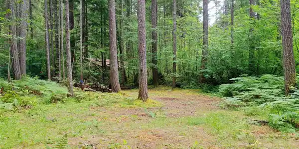 Image 2 Image 2