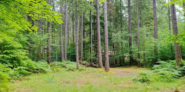 Image 3 Image 3