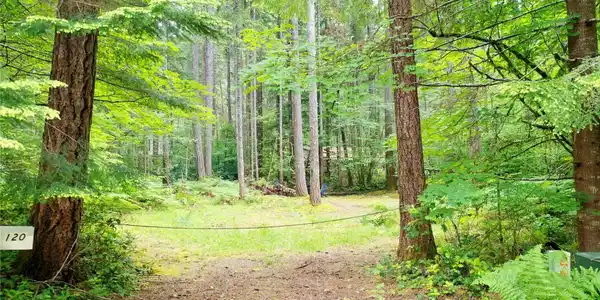 Image 4 Image 4