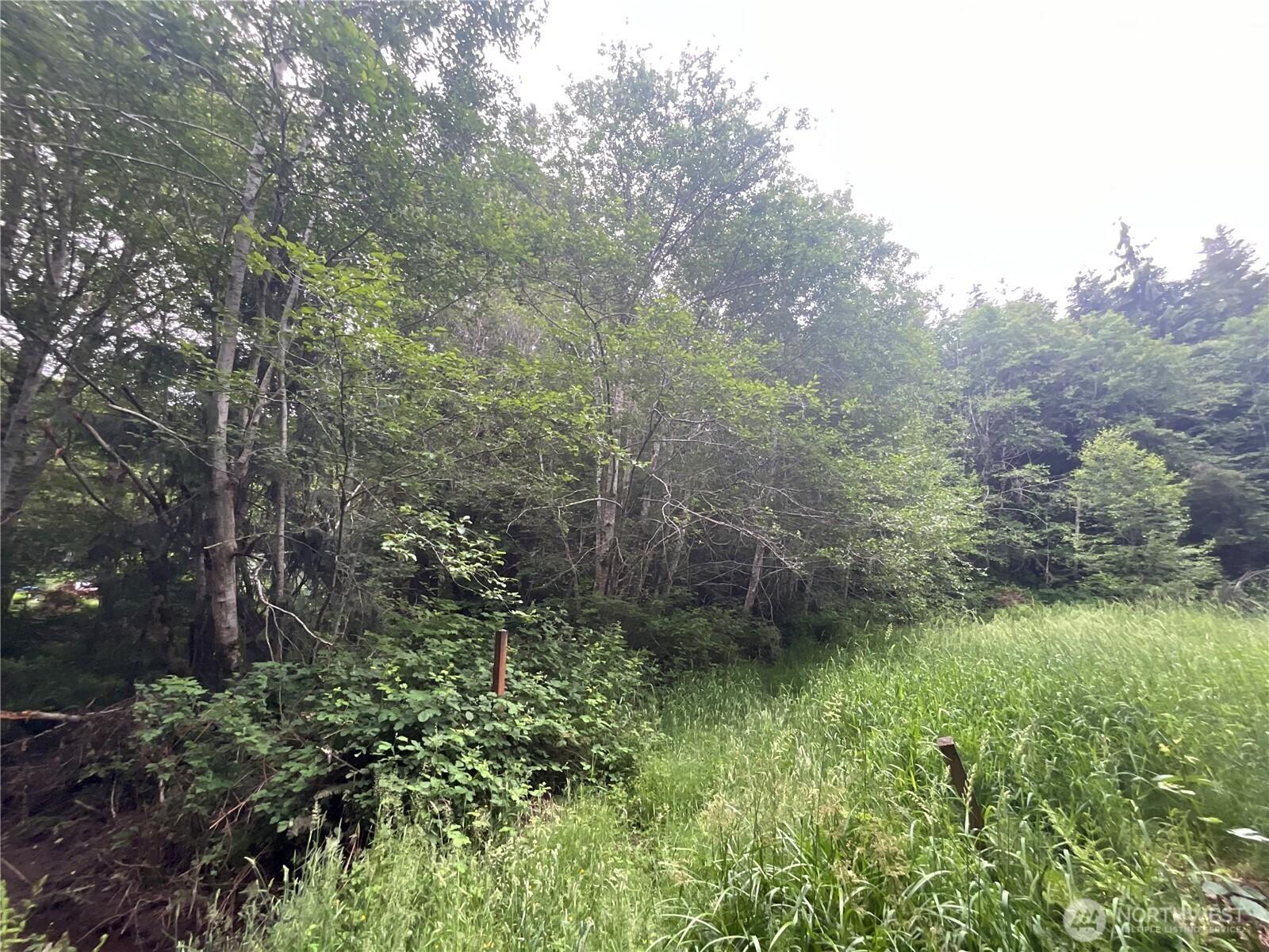 Image 4 Image 4