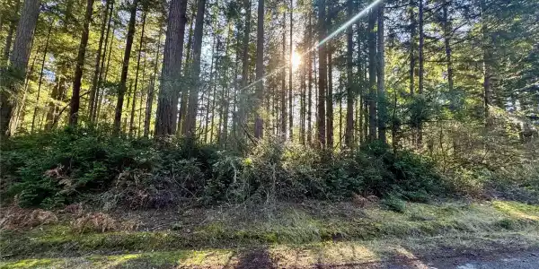 11208 Juniper