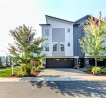 15720 Meadow