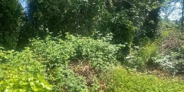 Image 3 Image 3