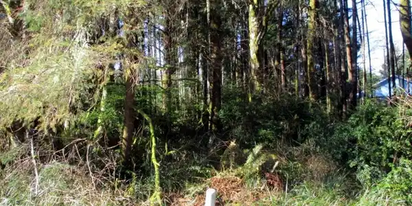 Image 4 Image 4