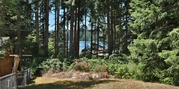 Image 4 Image 4