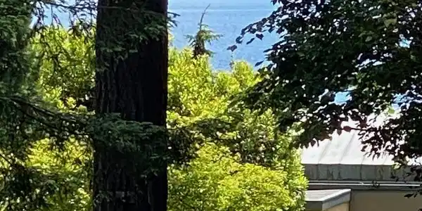 Image 4 Image 4
