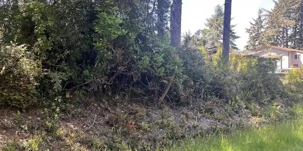 559 Sunset NE