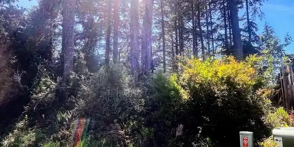 Image 3 Image 3